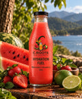 Hydration Fuel - Watermelon • Strawberry • Lime